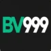 BV999 Game