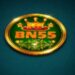 BN55 Game