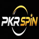 PKR SPIN Game