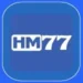 HM77 Game