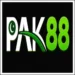 PAK 88 Game