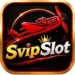 SVIP Game